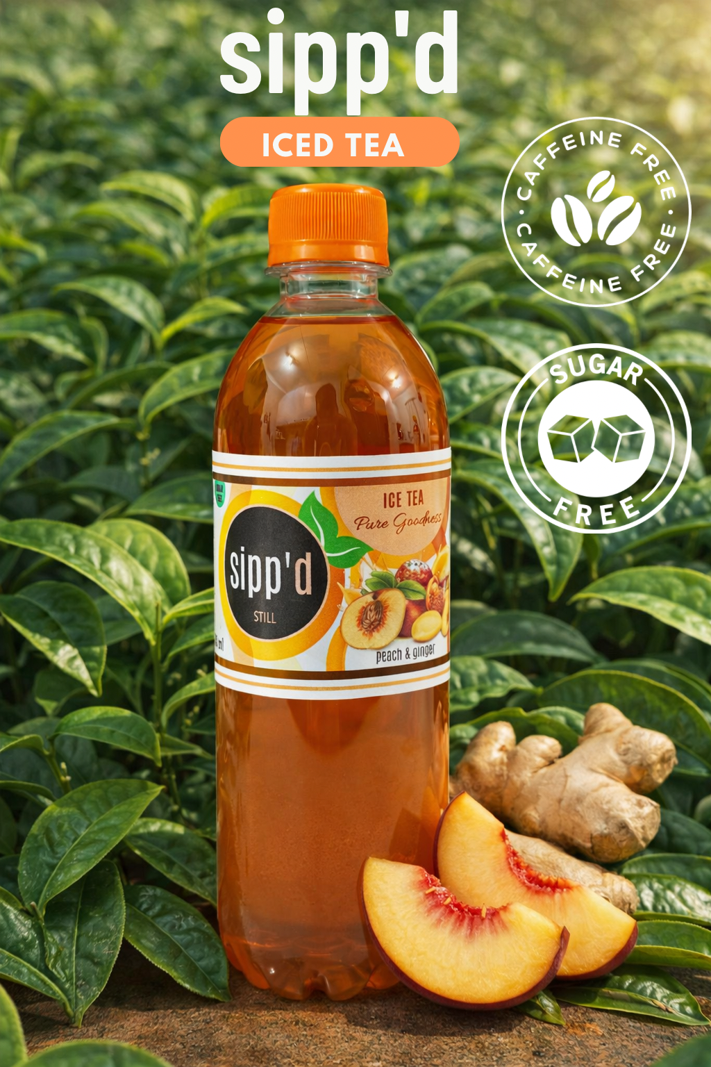 Peach & Ginger Sugar Free Ice Tea